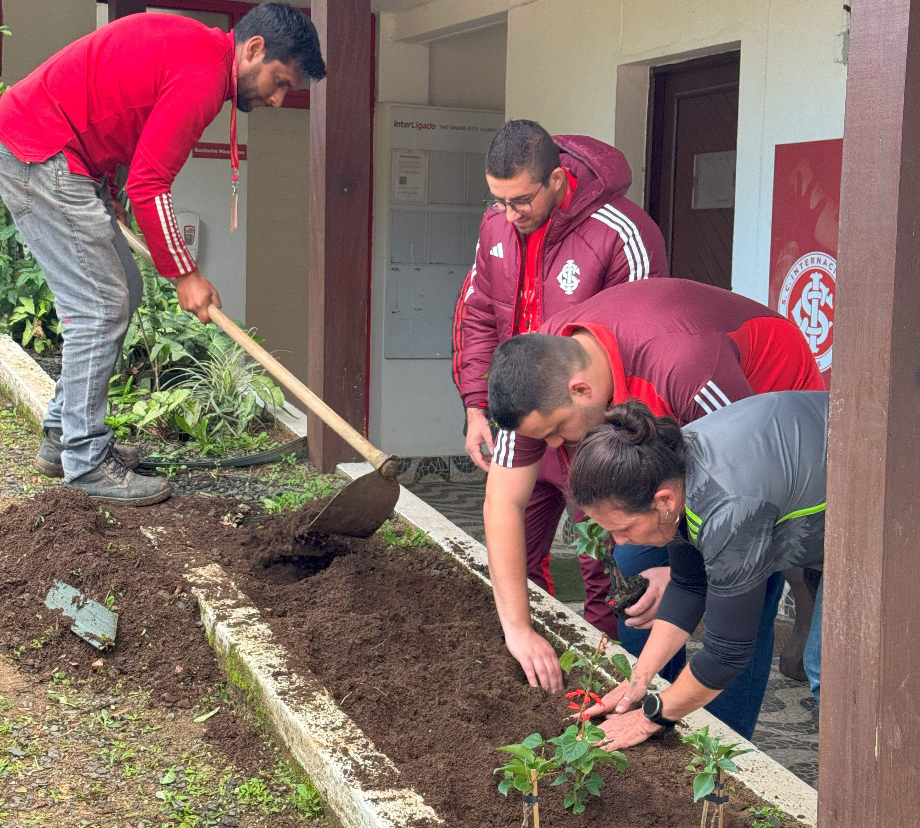 Clube do Povo realiza plantio de árvores no Dia Mundial do Meio Ambiente